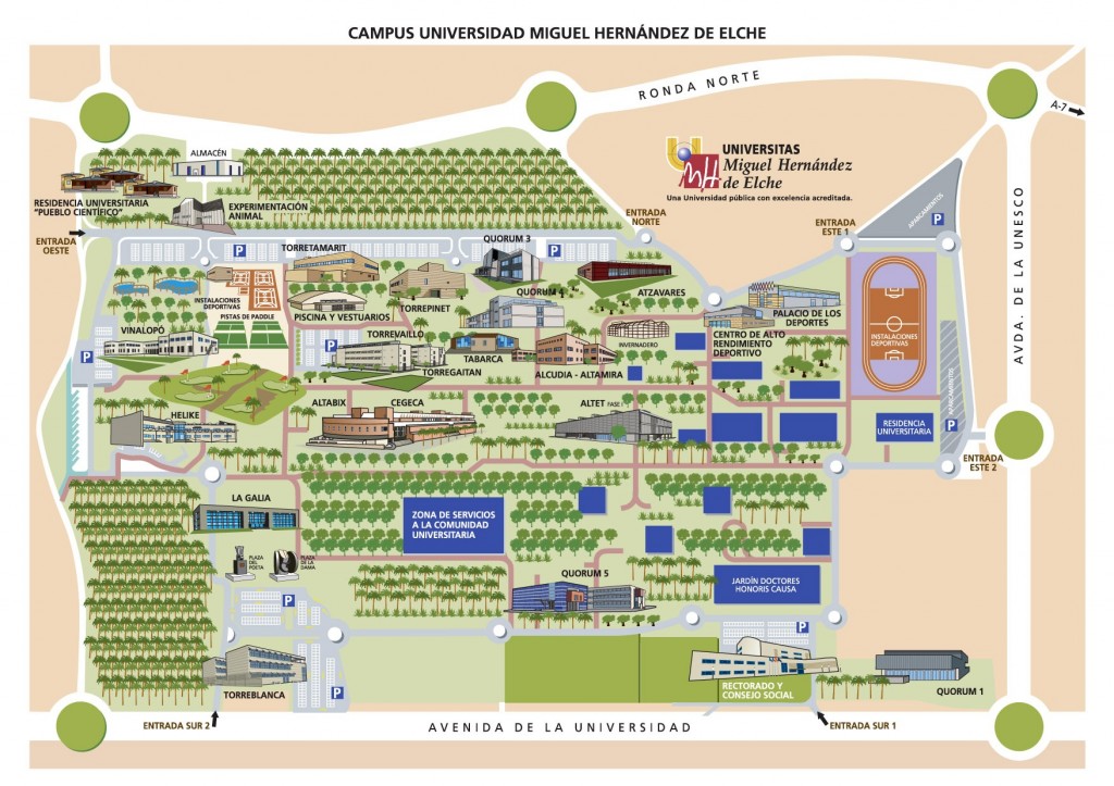 Plano Campus de Elche UMH