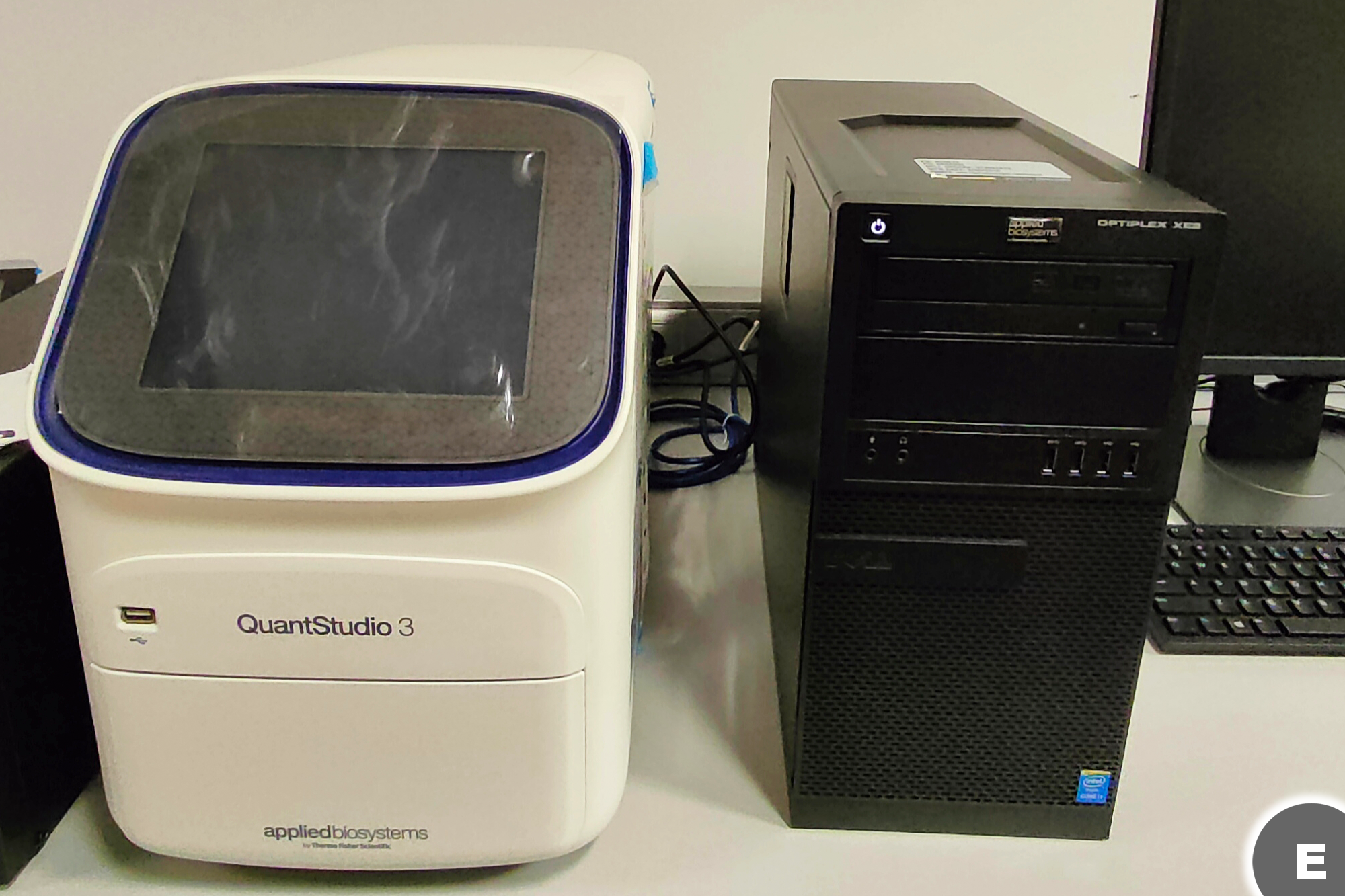 Imagen qPCR Applied Biosystems