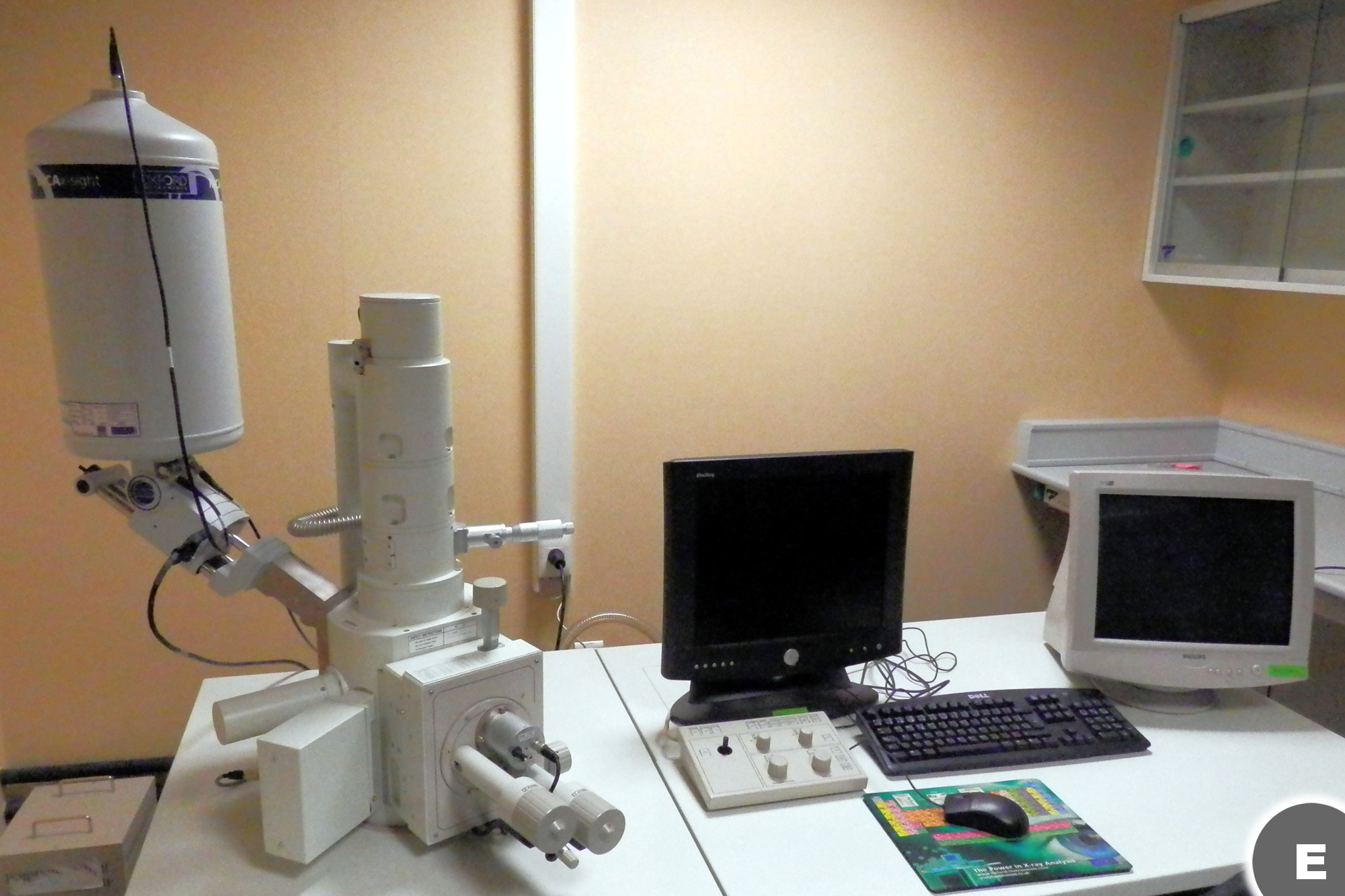 Imagen del microscopio electrónico de barrido 6100-LV de JEOL