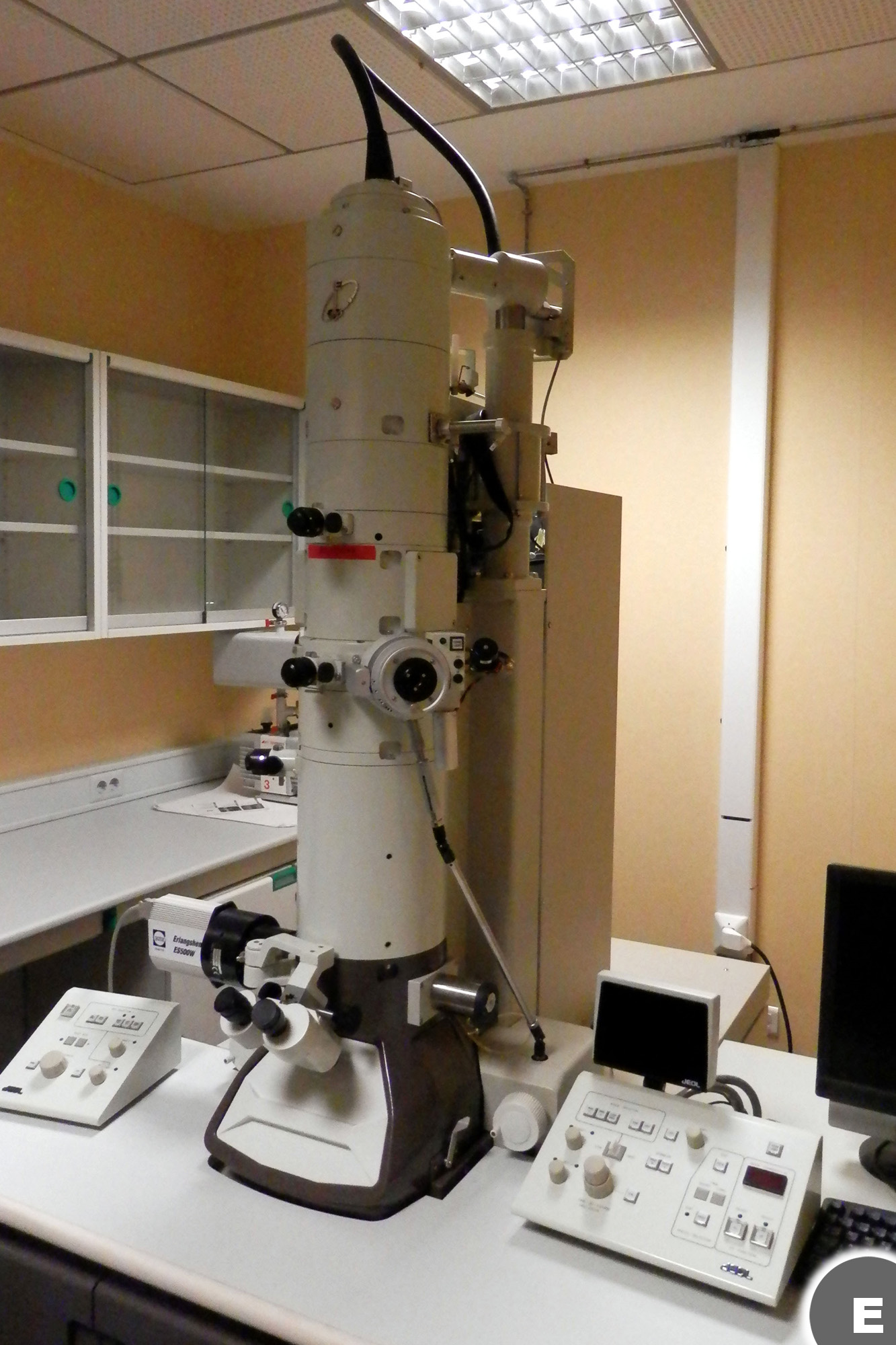 Imagen del microscopio electrónico de transmisión (JEM-1011, JEOL)