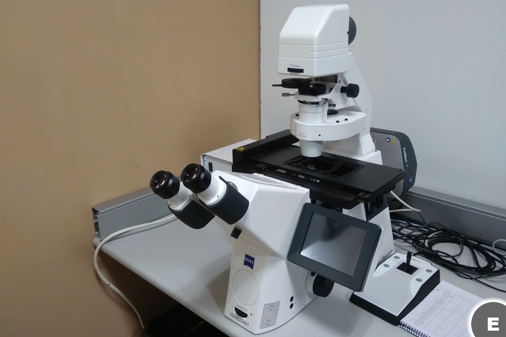 Imagen Microscopio Óptico invertido de Fluorescencia (Axio Observer 7, Zeiss)