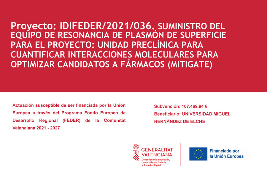 Imagen Placa Biacore IDiBE 2023
