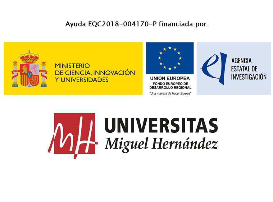 Imagen Placa FEDER GC2030 Orihuela-2018