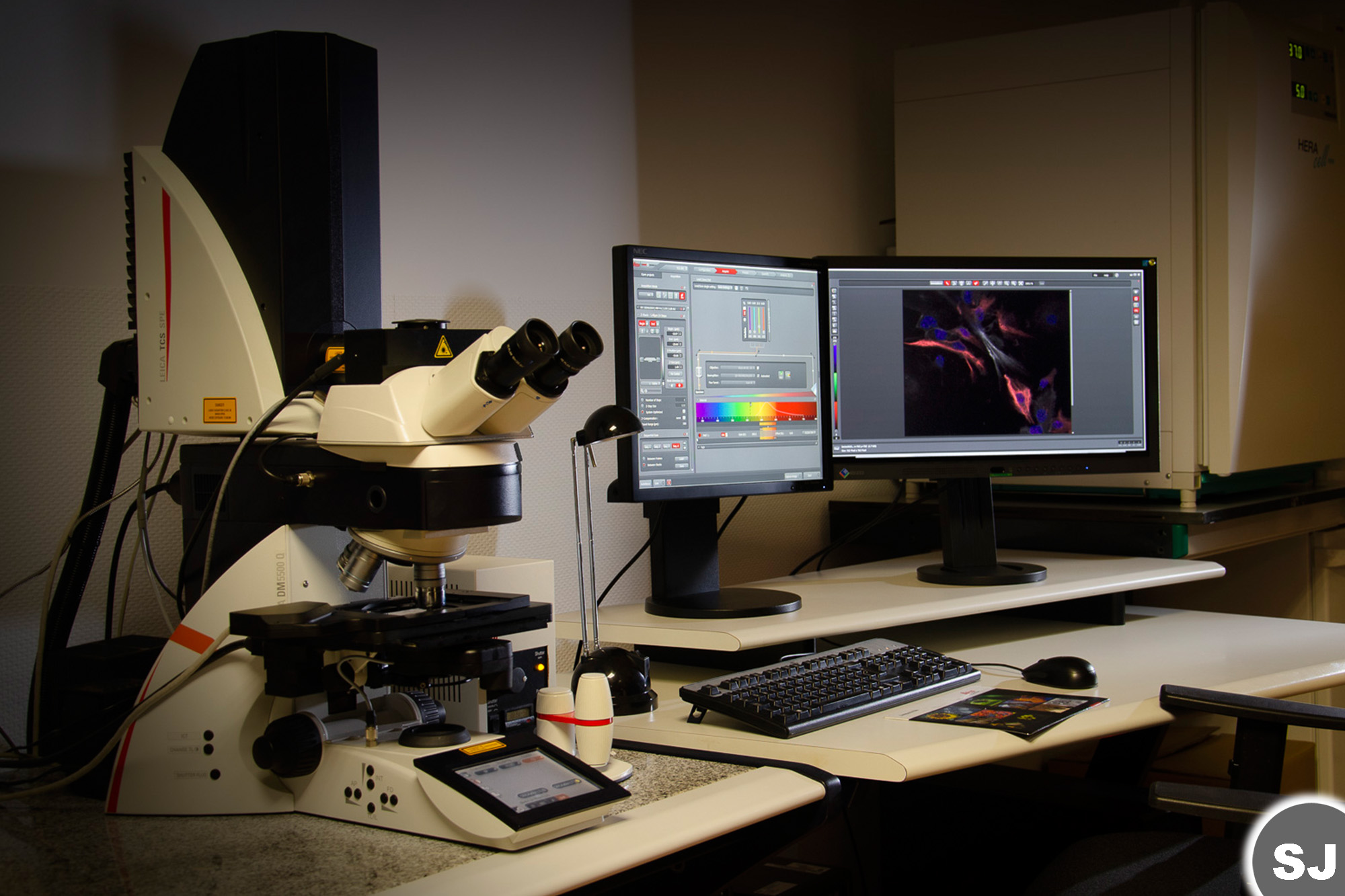 imagen Microscopio confocal vertical (SPEII, Leica)