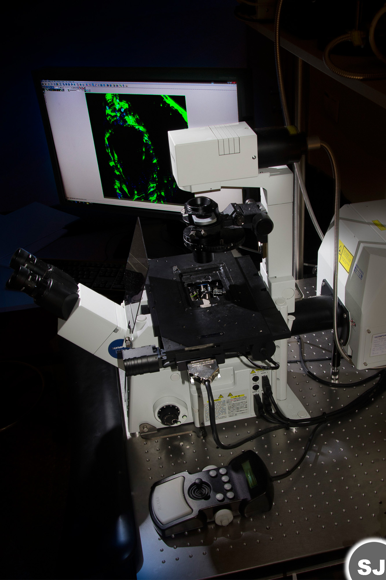 imagen Microscopio confocal invertido (FV1200, Olympus)